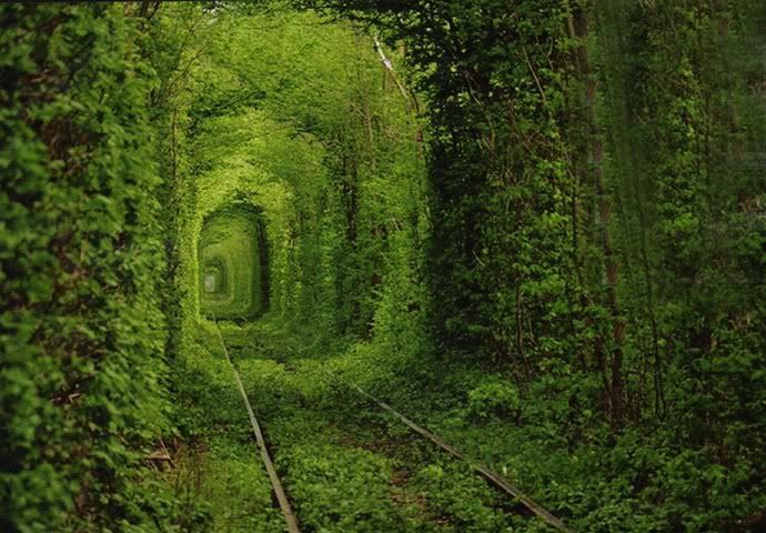 LoveTunnel