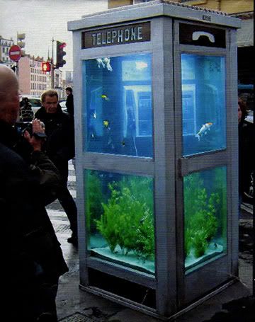 Street Fishtank
