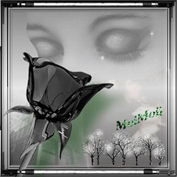 photo April09_zpsb4a64830.jpg