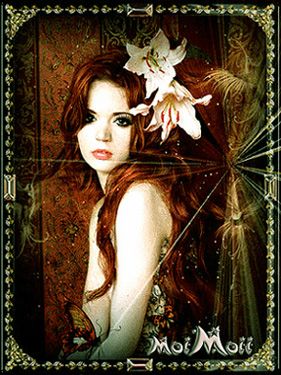 Aug 07B photo Aug07B_zps21c5a7bb.jpg