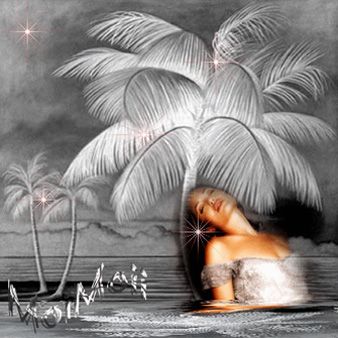 Aug 11A photo Aug11A_zps695ff497.jpg