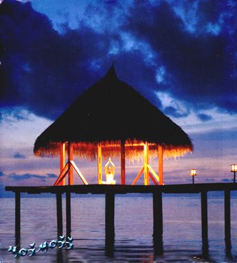 Aug 15C photo Aug15C_zps229e4f9c.jpg