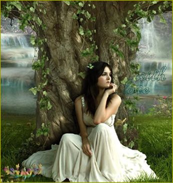 Aug 16B photo Aug16B_zps76afe097.jpg