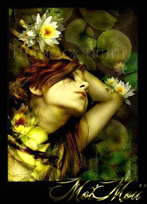 Aug 19A photo Aug19A_zpsfadc138b.jpg