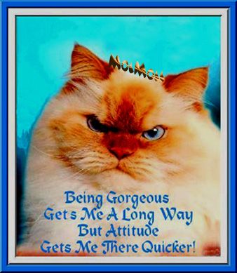 Aug 28A photo Aug28A_zps6acfc1b5.jpg