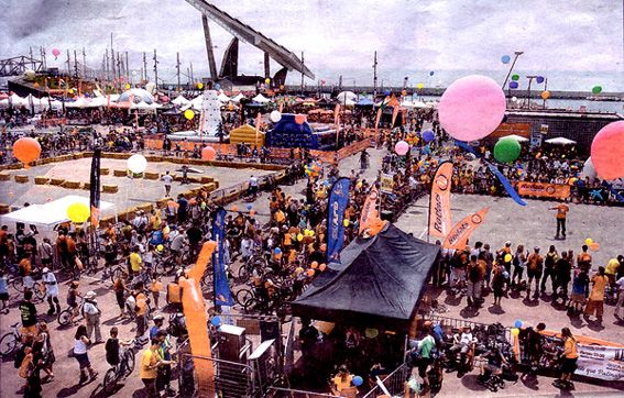 z-Bikes-Skates photo z-Bikes-Skates_zps731aa21a.jpg