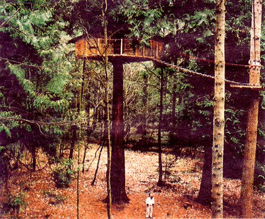 z-TreeHouse photo z-TreeHouse_zps0e1e690c.jpg