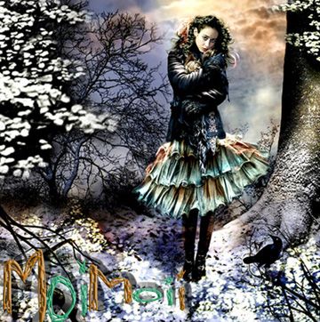 Feb 12 photo Feb12_zps49c1c22c.jpg