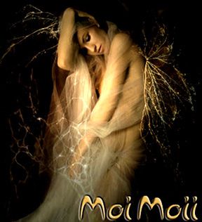 photo Feb17C_zps600e3b15.jpg