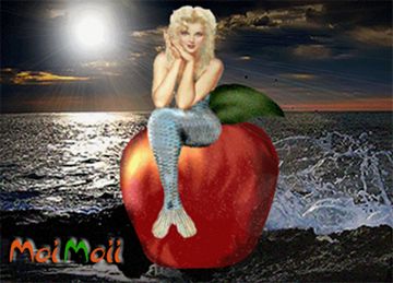 photo Feb17D_zps105d4f42.jpg