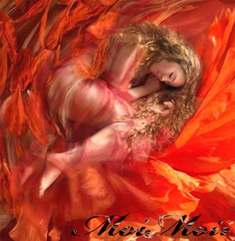 photo Feb18C_zps82149f56.jpg