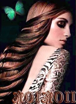 photo Feb19A_zps4297f21c.jpg