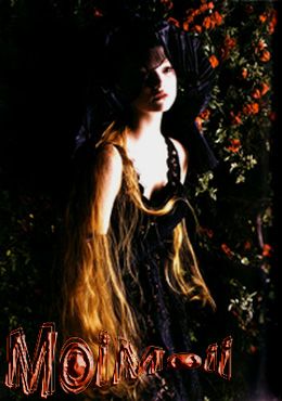 photo Feb19B_zps91711e0b.jpg