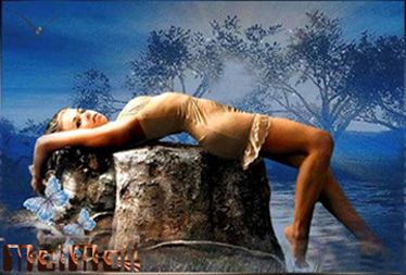 photo Feb22A_zps1c7d052b.jpg