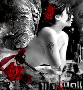  photo Feb24_zpsfde8fa18.jpg