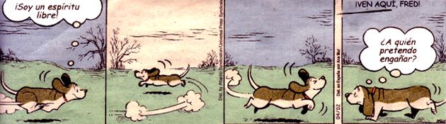 z-FredBasset 2 photo z-FredBassett2_zps9072e521.jpg