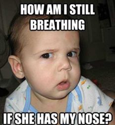 z-baby 13 photo image01313_zps0f5f0a8d.jpg