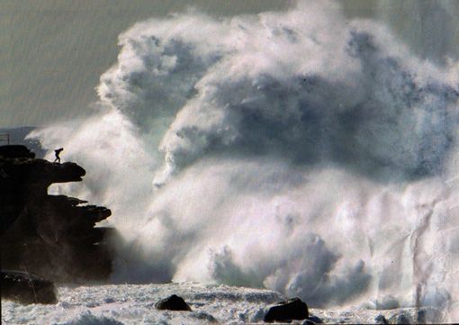 z-Man-Nature photo z-060613-10_zps01c95dd4.jpg