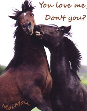 June 08C photo z-LovingCouple_zpsbca1065c.jpg