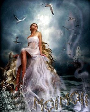 photo Mar17A_zps1c461c2e.jpg