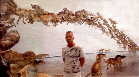 photo Wolves_zpsef429ad3.jpg