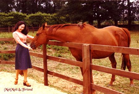 May 03 photo May03_zps0cdd5f91.jpg