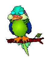 z-Parrot 1 photo z-parrot1_zpsbb53c432.gif