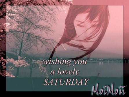 Sept 14A photo Sept14A_zps62f91353.jpg