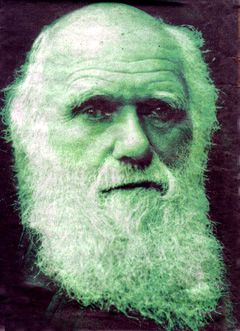 z-Darwin photo z-Darwin_zps5b7cc9b1.jpg