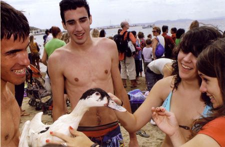 z-RosesFest 2 photo z-RosesFest2_zps240291e8.jpg