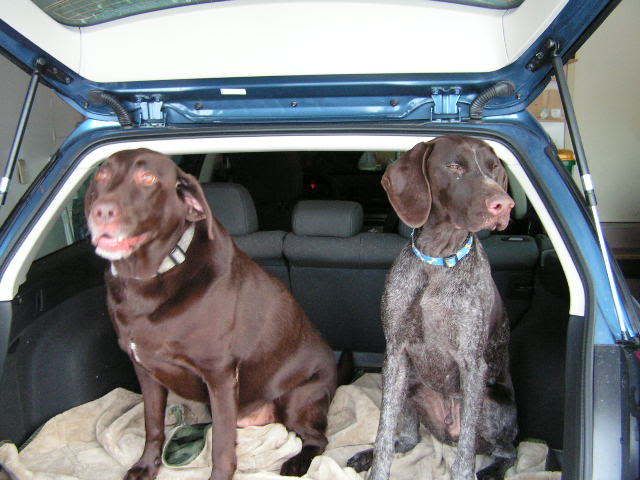 12012007005.jpg Where are we going? picture by skimmelman