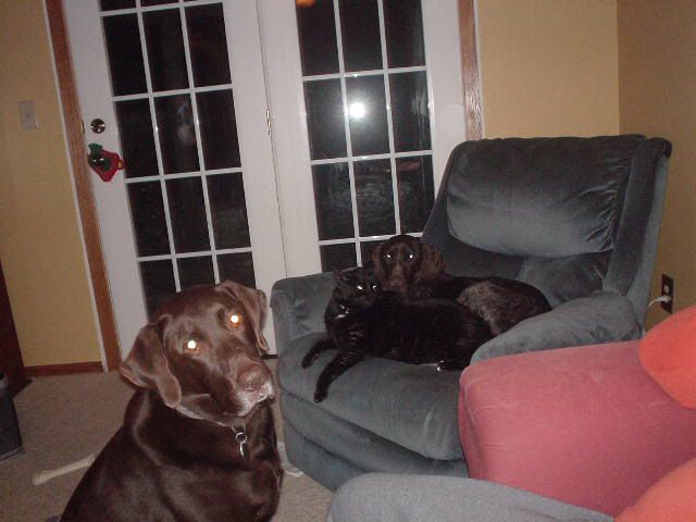 DSC00227.jpg M&M&M picture by skimmelman