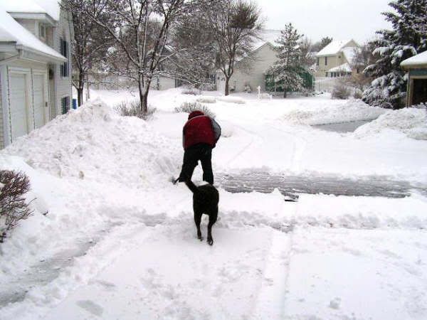 JonShoveling-22807.jpg picture by skimmelman