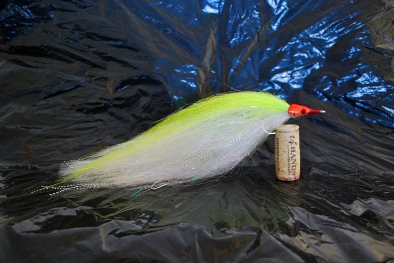 Wisconsin Fly Fishing Forums - Fly for teeth