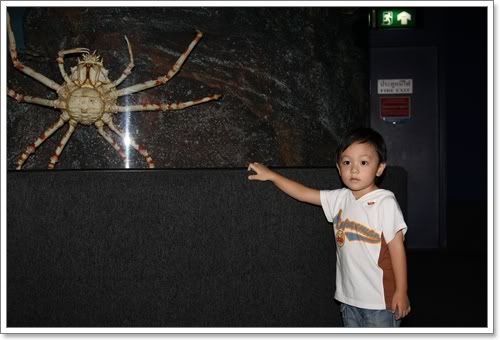 สงกรานต์ ไปดูนางเงือก Siam Ocean World