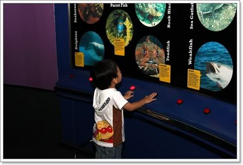 สงกรานต์ ไปดูนางเงือก Siam Ocean World