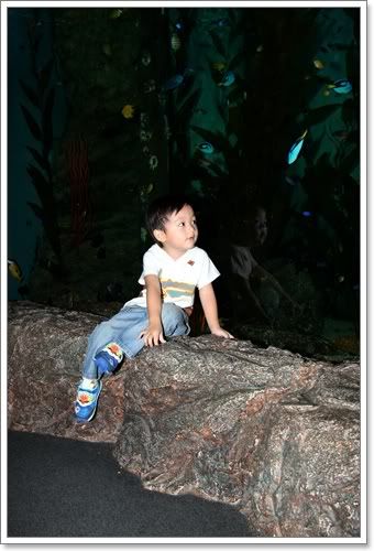 สงกรานต์ ไปดูนางเงือก Siam Ocean World