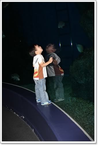 สงกรานต์ ไปดูนางเงือก Siam Ocean World