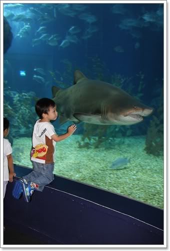 สงกรานต์ ไปดูนางเงือก Siam Ocean World