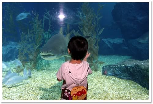 สงกรานต์ ไปดูนางเงือก Siam Ocean World