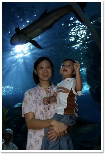 สงกรานต์ ไปดูนางเงือก Siam Ocean World