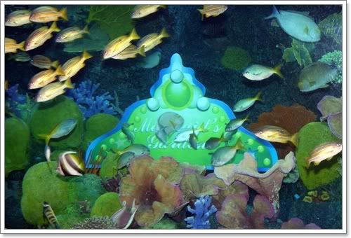 สงกรานต์ ไปดูนางเงือก Siam Ocean World