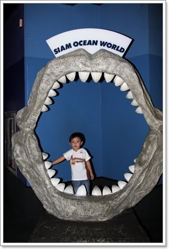 สงกรานต์ ไปดูนางเงือก Siam Ocean World