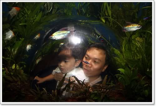 สงกรานต์ ไปดูนางเงือก Siam Ocean World