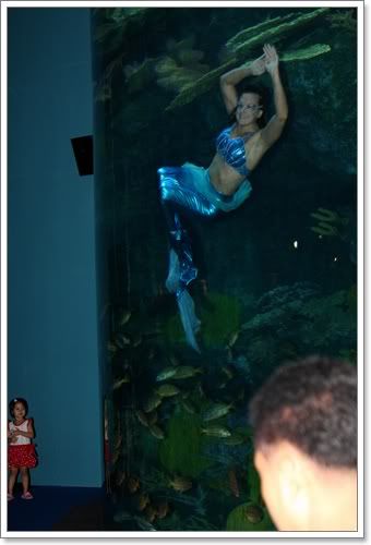 สงกรานต์ ไปดูนางเงือก Siam Ocean World