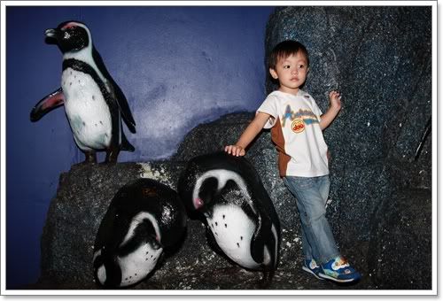 สงกรานต์ ไปดูนางเงือก Siam Ocean World
