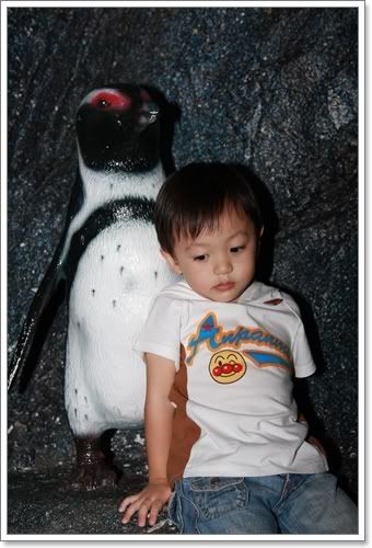 สงกรานต์ ไปดูนางเงือก Siam Ocean World