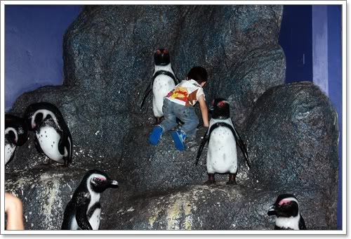 สงกรานต์ ไปดูนางเงือก Siam Ocean World