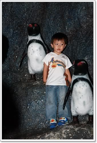 สงกรานต์ ไปดูนางเงือก Siam Ocean World