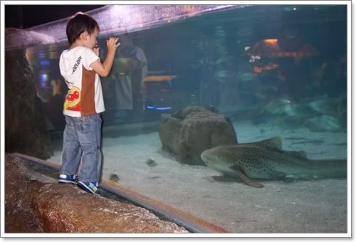 สงกรานต์ ไปดูนางเงือก Siam Ocean World
